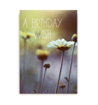 A Birthday Wish - Lagom Design