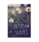 Birthday Wishes - Lagom Design