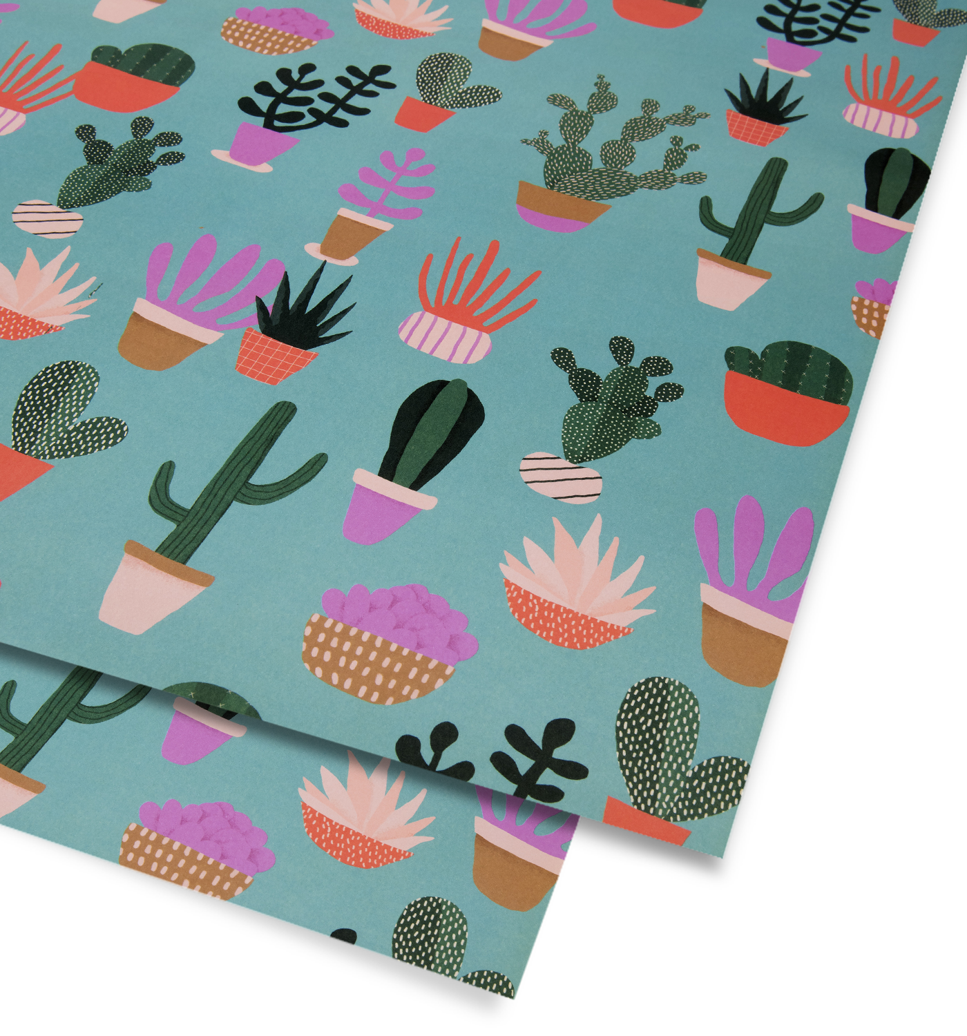 Cactus - Lagom Design