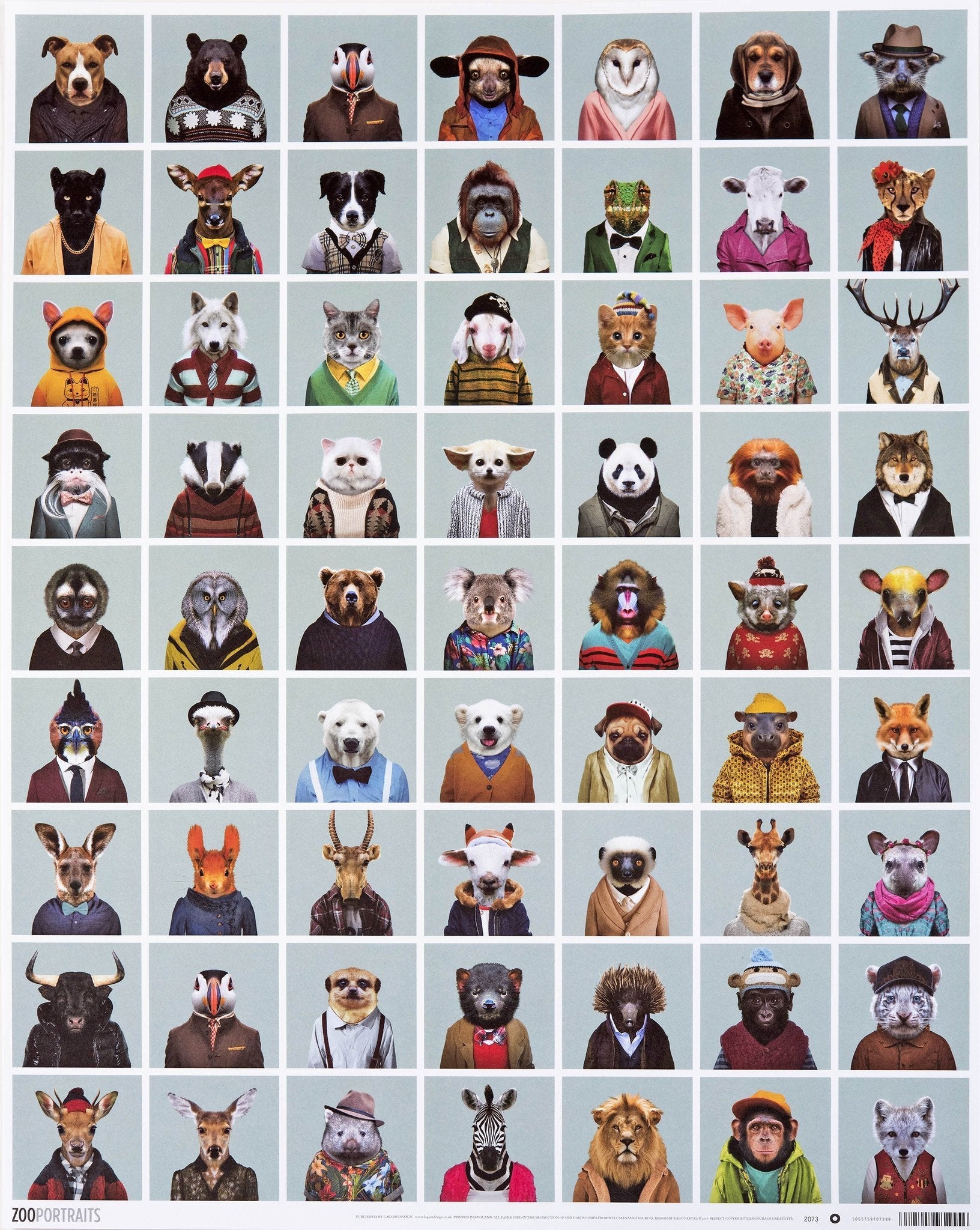 Zoo Portraits Gift Wrap - Lagom Design