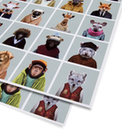 Zoo Portraits Gift Wrap - Lagom Design