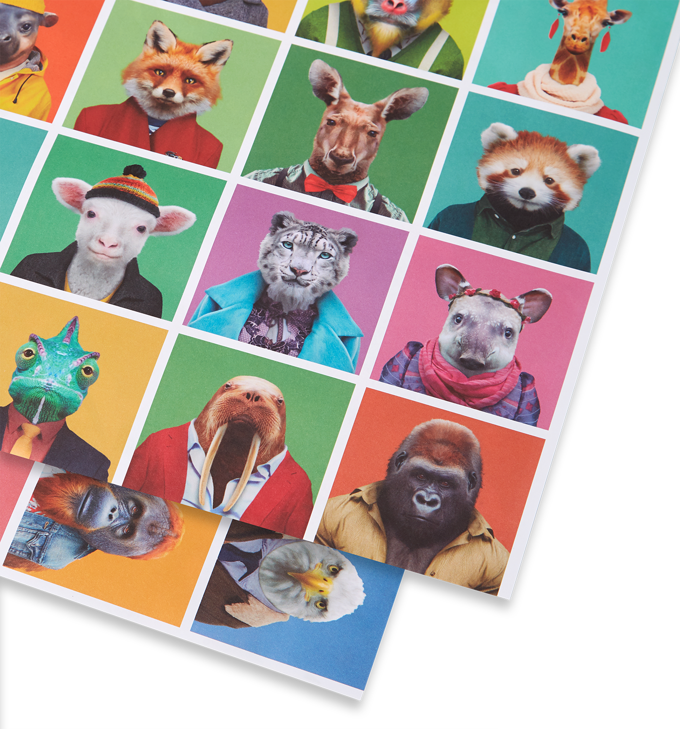 Zoo Portraits Wrap - Lagom Design