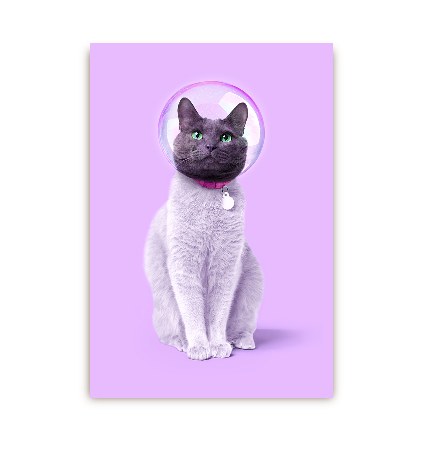 Space Cat Postcard - Lagom Design