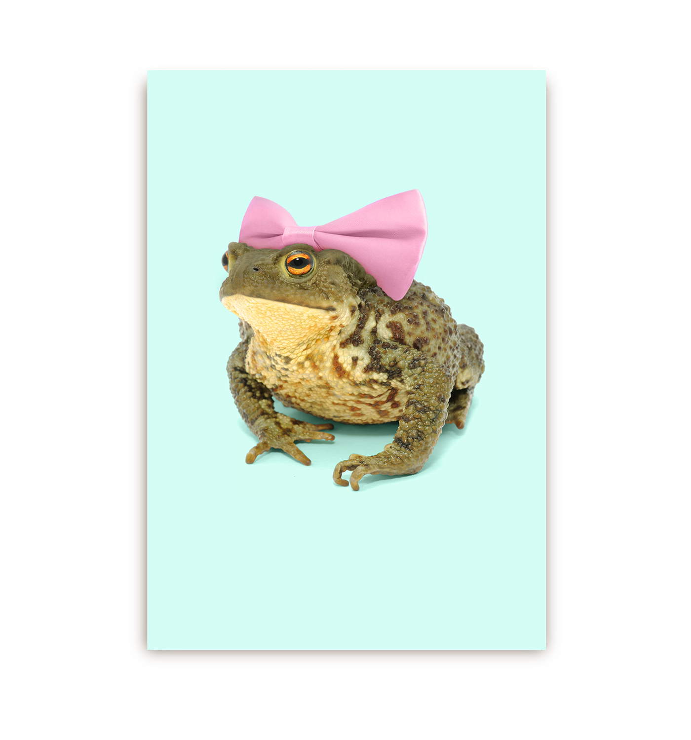 Bow Toad Postcard - Lagom Design