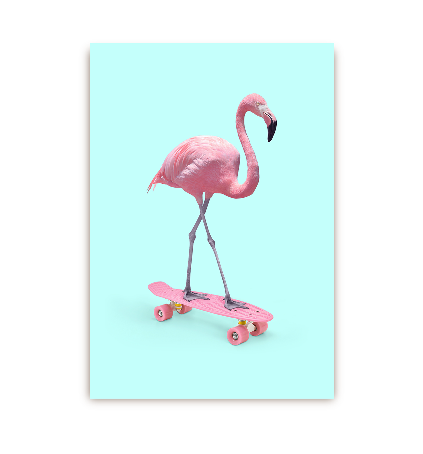 Skate Flamingo Postcard - Lagom Design