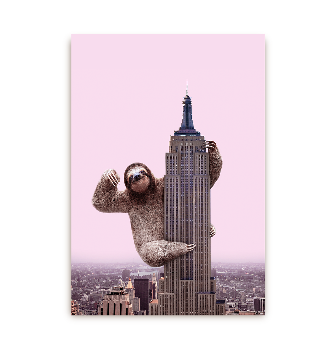 King Sloth Postcard - Lagom Design