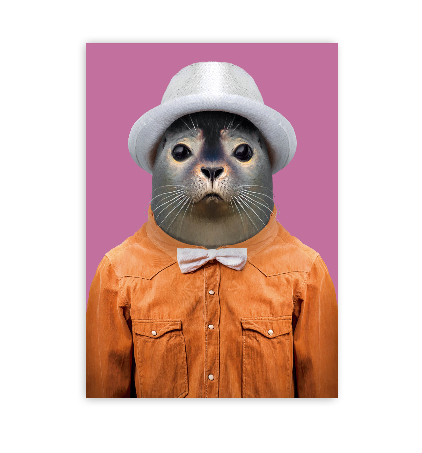 Harbor Seal - Lagom Design