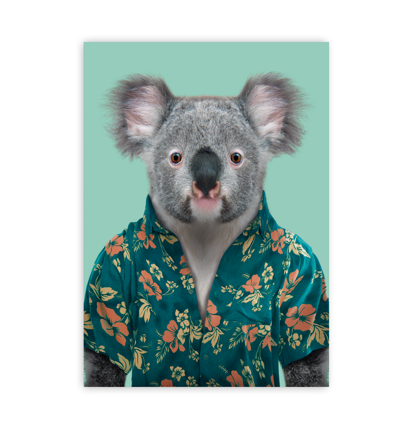 Koala - Lagom Design