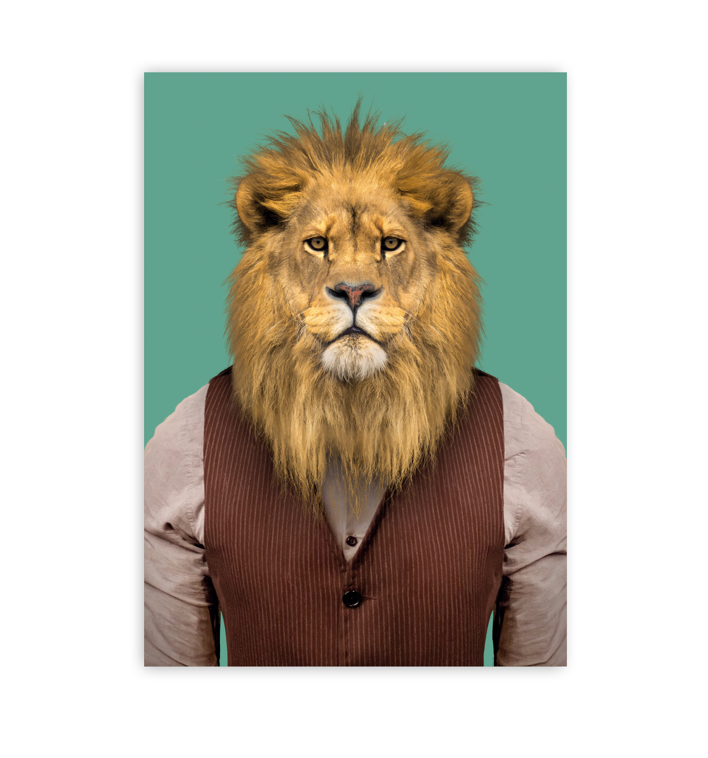 Lion - Lagom Design