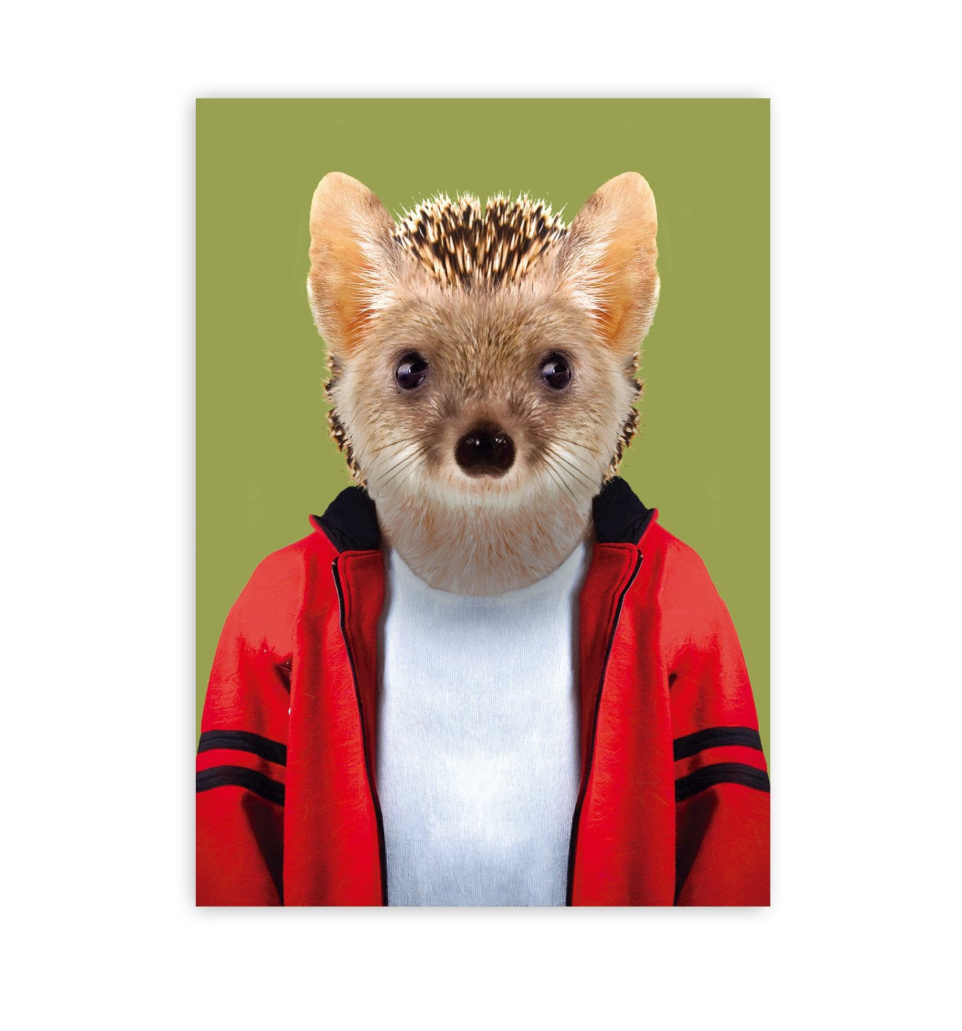 Long-eared Hedgehog - Lagom Design