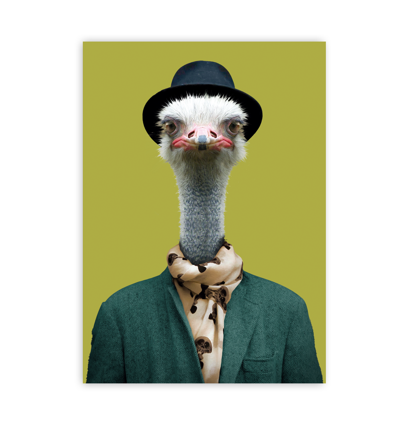 Ostrich - Lagom Design