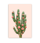 Cactus Roses - Lagom Design