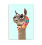 Fashion Llama - Lagom Design