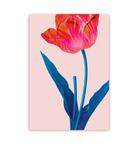 Tulip - Lagom Design