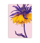 Yellow Crown Imperial - Lagom Design