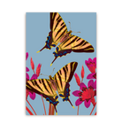 Ixia Butterfly - Lagom Design