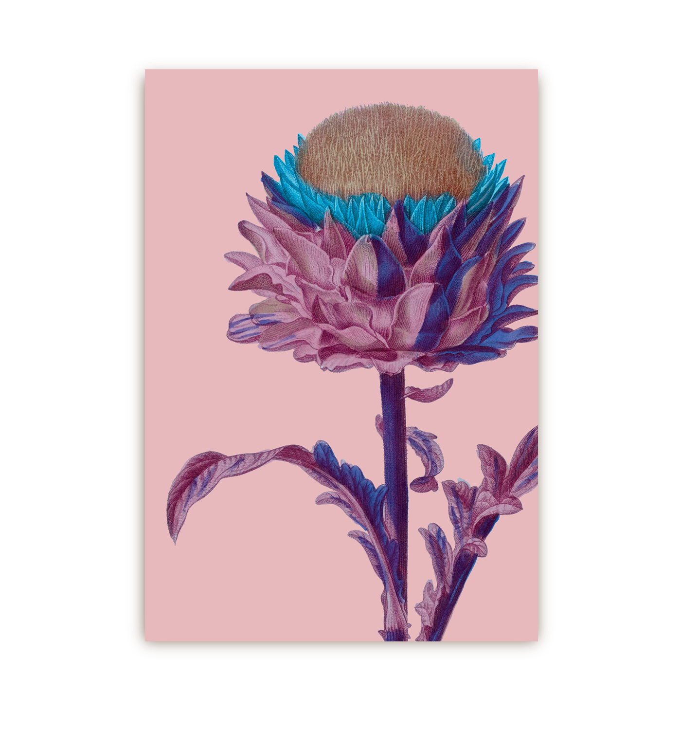 Artichoke - Lagom Design